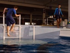 Nathan Gamble in Dolphin Tale 2, Uploaded by: ninky095