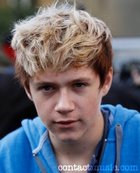 Niall Horan : niall-horan-1317061061.jpg