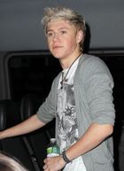 Niall Horan : niall-horan-1336600029.jpg