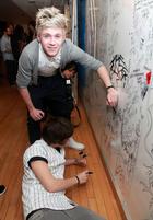 Niall Horan : niall-horan-1336600036.jpg