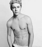 Niall Horan : niall-horan-1340195380.jpg