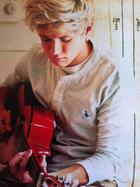 Niall Horan : niall-horan-1340821428.jpg