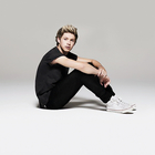 Niall Horan : niall-horan-1360812922.jpg