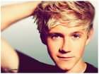 Niall Horan : niall-horan-1364794244.jpg