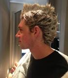 Niall Horan : niall-horan-1370620759.jpg