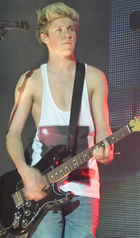 Niall Horan : niall-horan-1371924117.jpg