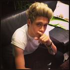 Niall Horan : niall-horan-1376155338.jpg