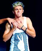 Niall Horan : niall-horan-1378748910.jpg