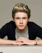 Niall Horan : niall-horan-1392909268.jpg