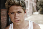 Niall Horan : niall-horan-1396793010.jpg