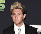 Niall Horan : niall-horan-1450891595.jpg