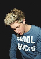 Niall Horan : niall-horan-1453228118.jpg