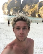 Niall Horan : niall-horan-1461893761.jpg