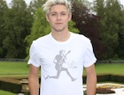 Niall Horan : niall-horan-1476210601.jpg