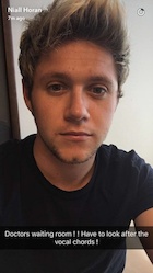 Niall Horan : niall-horan-1478430542.jpg