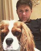 Niall Horan : niall-horan-1492201801.jpg