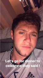 Niall Horan : niall-horan-1494206641.jpg