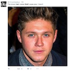 Niall Horan : niall-horan-1498124554.jpg