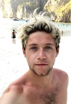 Niall Horan : niall-horan-1521851893.jpg