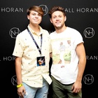 Niall Horan : niall-horan-1630253811.jpg