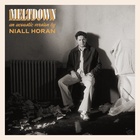 Niall Horan : niall-horan-1684609113.jpg