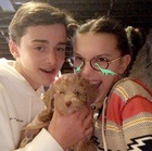 Noah Schnapp : noah-schnapp-1603289057.jpg