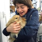 Noah Schnapp : noah-schnapp-1740504009.jpg