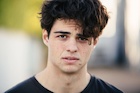 Noah Centineo : noah-centineo-1519958201.jpg