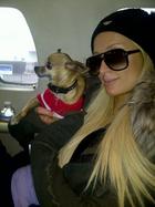 Paris Hilton : paris-hilton-1331738451.jpg