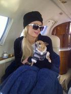 Paris Hilton : paris-hilton-1331738477.jpg