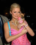 Paris Hilton : paris-hilton-1378489642.jpg