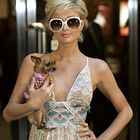 Paris Hilton : parishilton_1252852370.jpg