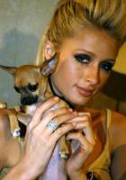 Paris Hilton : parishilton_1255325317.jpg