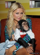 Paris Hilton : parishilton_1255328132.jpg