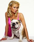 Paris Hilton : parishilton_1261338047.jpg