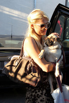 Paris Hilton : parishilton_1290967114.jpg