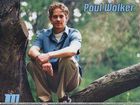 Paul Walker : paul_walker_1206482825.jpg