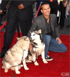 Paul Walker : paul_walker_1243376466.jpg