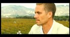 Paul Walker : paul_walker_1278269300.jpg