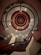 Pax Pope : pax-pope-1774970424.jpg