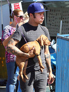 Peter Wentz : peter-wentz-1352432985.jpg