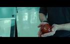 Robert Pattinson : robert_pattinson_1239231194.jpg