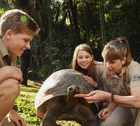 Robert Irwin : robert-irwin-1590183872.jpg