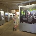 Robert Irwin : robert-irwin-1604152013.jpg