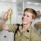 Robert Irwin : robert-irwin-1604189682.jpg