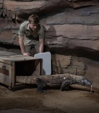 Robert Irwin : robert-irwin-1626033664.jpg