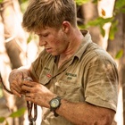 Robert Irwin : robert-irwin-1692832420.jpg