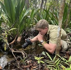 Robert Irwin : robert-irwin-1696167415.jpg