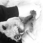 Ronan Parke : ronan-parke-1436313001.jpg