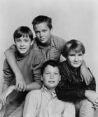River Phoenix : TI4U_u1233800846.jpg